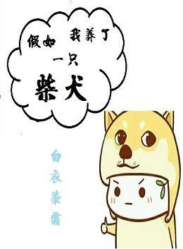 假如我養了一只柴犬