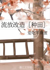 流放改造［種田］