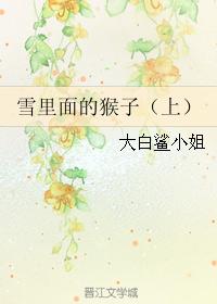 雪裏面的猴子（上）