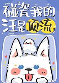 碰瓷我的汪是頂流