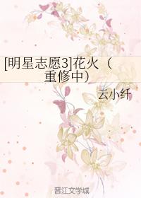 [明星志願3]花火