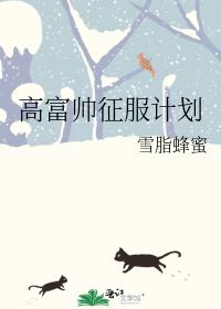 高富帥征服計劃