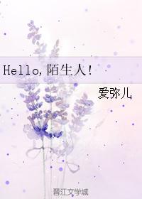 Hello，陌生人！