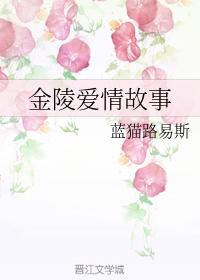 金陵愛情故事