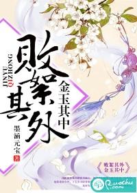 敗絮其外，金玉其中