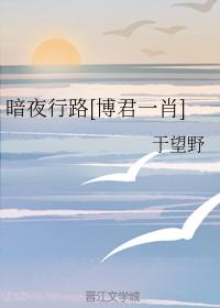 暗夜行路[博君一肖]