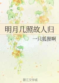 明月幾照故人歸