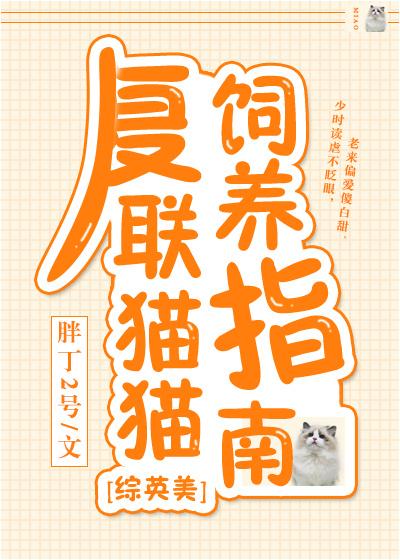 複聯貓貓飼養指南[綜英美]