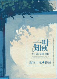 （全職）一葉知秋