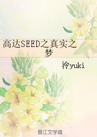 高達SEED之真實之夢