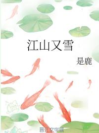 江山又雪