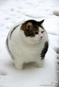 一個大齡肥宅的深刻人生感悟