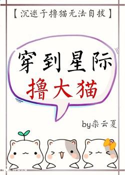 穿到星際撸大貓
