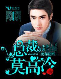 絕秘隐婚，總裁莫高冷