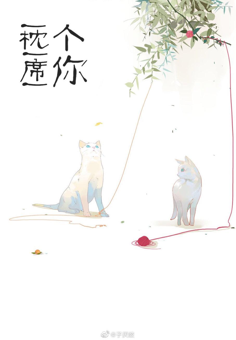 一枕一席一個你