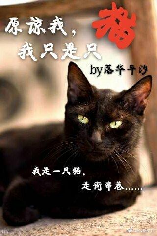 原諒我，我只是只貓