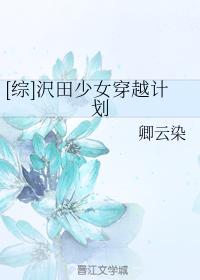 [綜]沢田少女穿越計劃