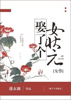 娶了個女狀元（女尊）