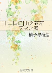 [十二國記]山之蒼茫　天火之舞