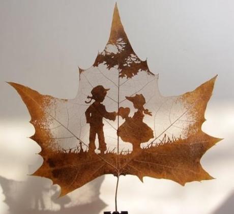 奔跑吧，小葵花！