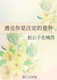 遇見你是注定的意外