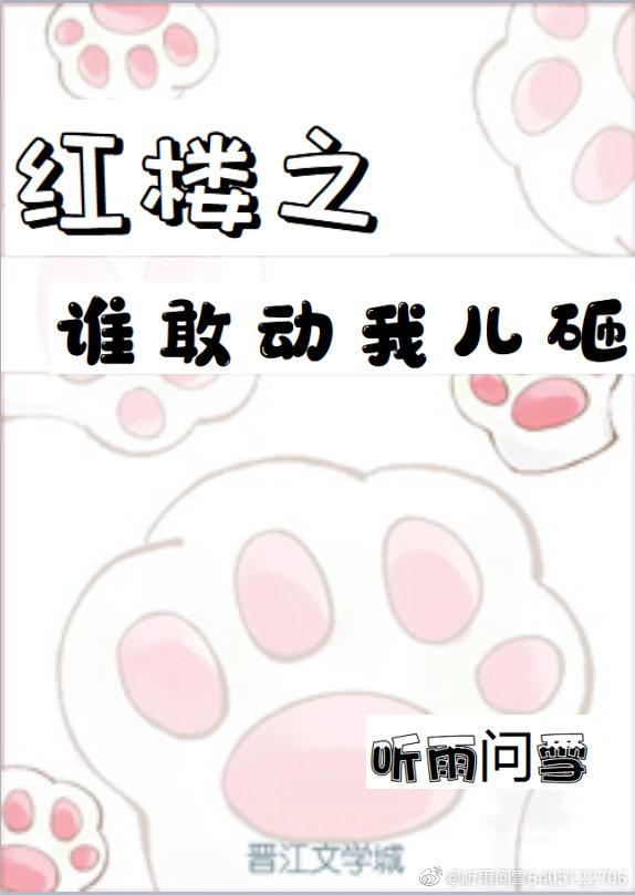 紅樓之誰敢動我兒砸