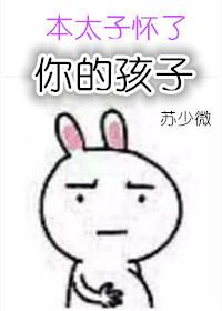 本太子懷了你的孩子