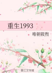 重生1993