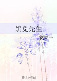 黑兔先生