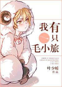 我有一只毛小旅