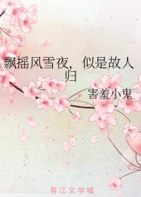 飄搖風雪夜，似是故人歸