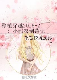 移植穿越2016-2: 小碼農倒莓記