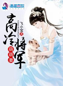高冷将軍萌萌妻