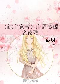 （綜主家教）莊周夢蝶之夜殇