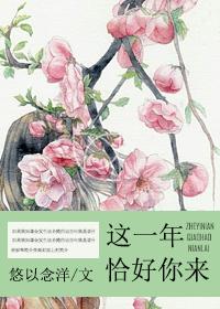 這一年，恰好你來