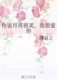 你說月亮很美，我很愛你