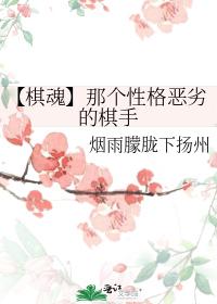 【棋魂】那個性格惡劣的棋手