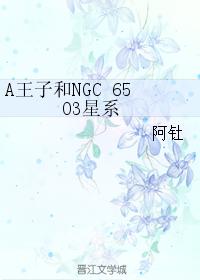 A王子和NGC 6503星系