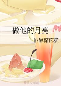 做他的月亮