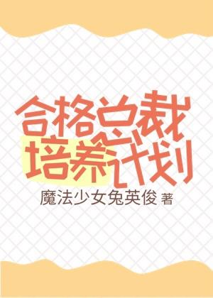 合格總裁培養計劃