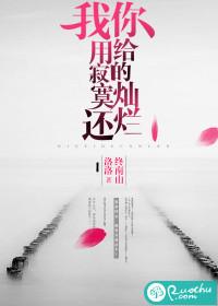 你給的燦爛，我用寂寞還