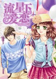 流星下的愛戀