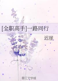 [全職高手]一路同行