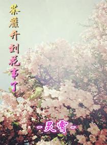 荼蘼開到花事了