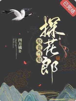 娶妻當娶探花郎