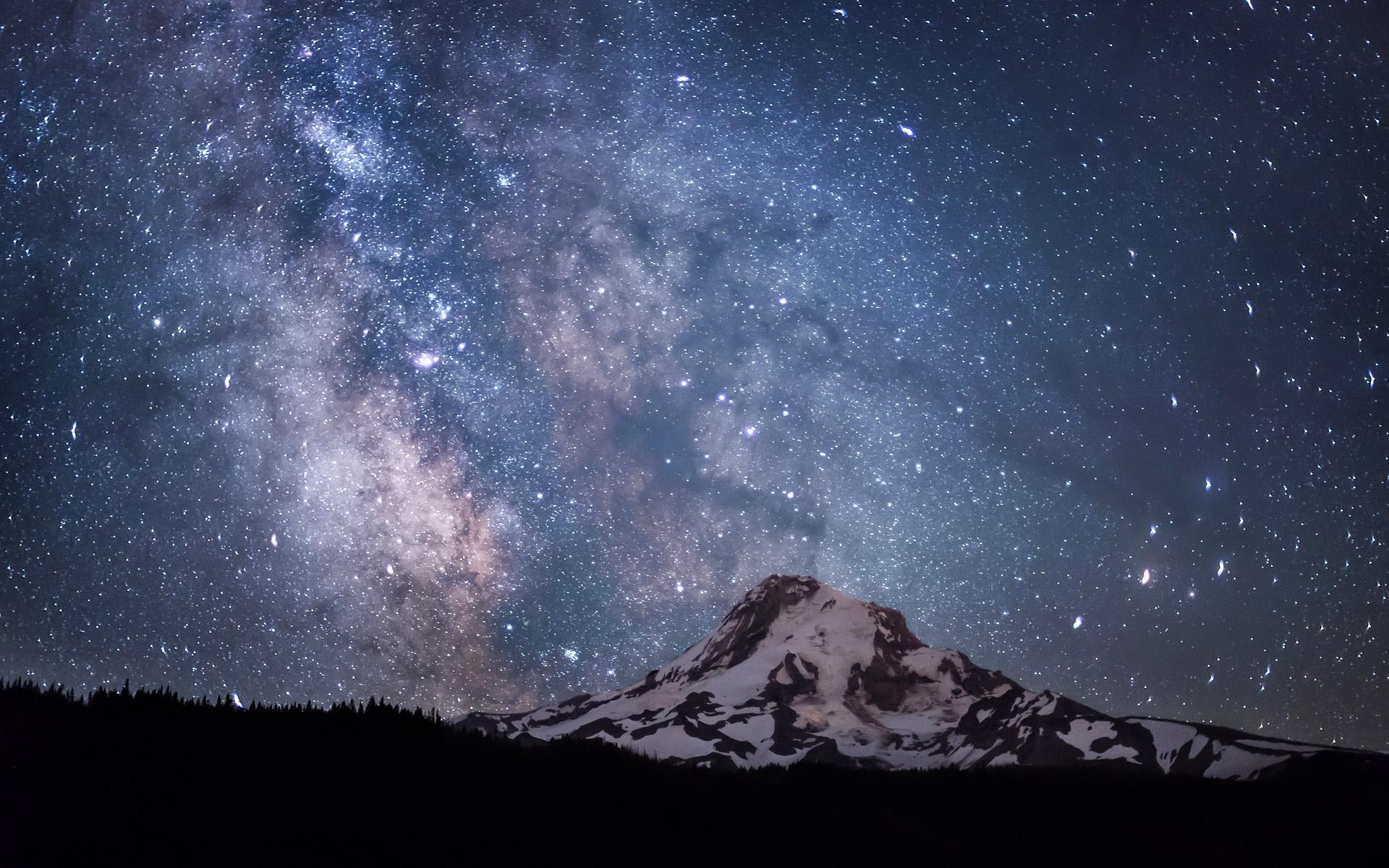 大鱷魚和綠頭龜