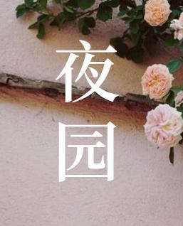 夜園