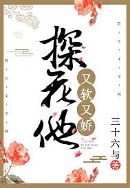 探花他又軟又嬌