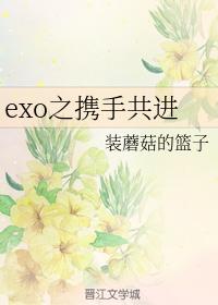 exo之攜手共進