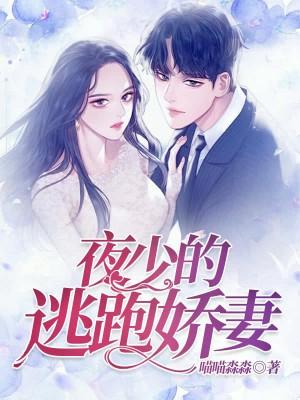 夜少的逃跑嬌妻